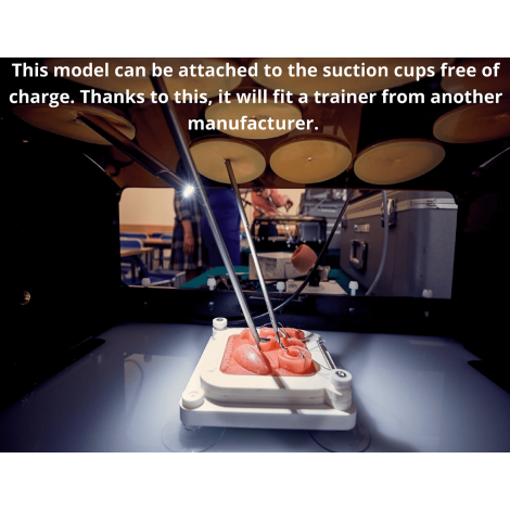 Laparoscopic trainers - Medical Technology - Kroton - Check!