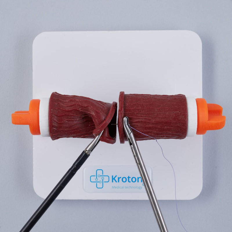 Laparoscopic anastomosis training Laparoscopic anastomosis training