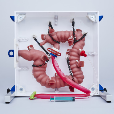 KROTON KOLONO Colonoscopy Trainer (END001)