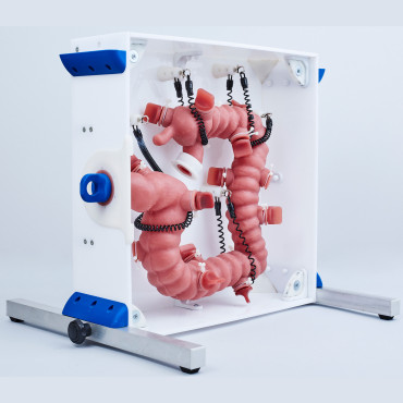 KROTON KOLONO Colonoscopy Trainer (END001)