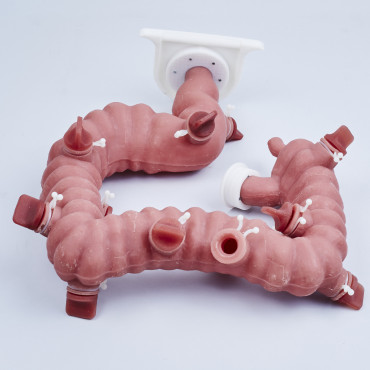 KROTON KOLONO Colonoscopy Trainer (END001)