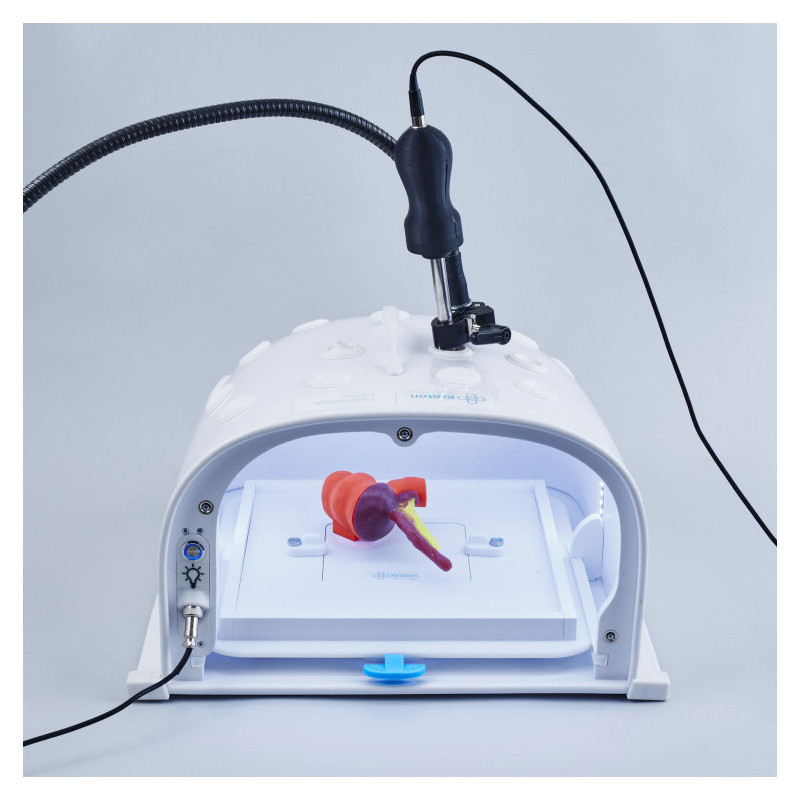 Simulateur laparoscopique Medium sans instruments (TRA003A)