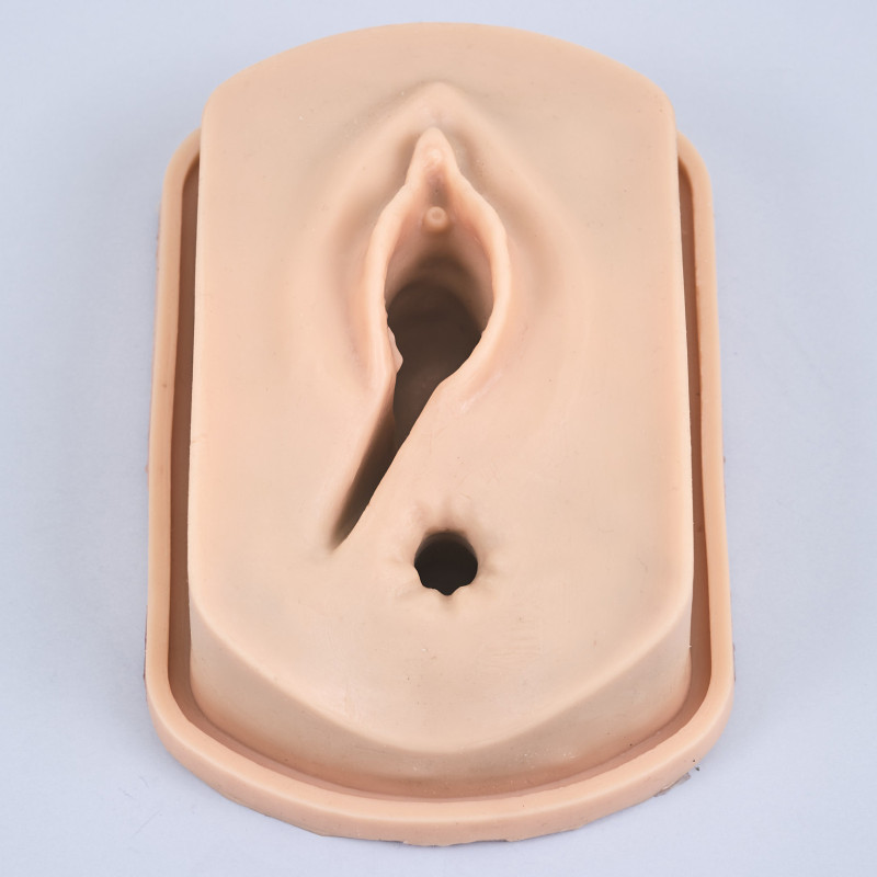 Perineal suturing training model - replacement insert (SUR011)