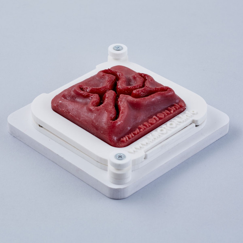 Wound for laparoscopic suturing training Wound for laparoscopic suturing training