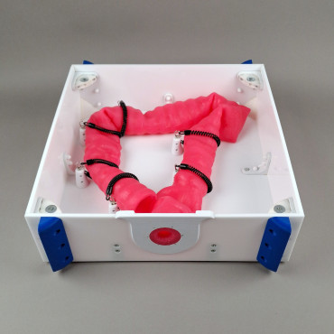 Le simulateur de coloscopie KROTON KOLONO (END001)
