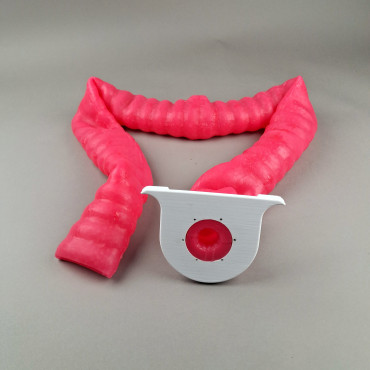 KROTON KOLONO Colonoscopy Trainer (END001)