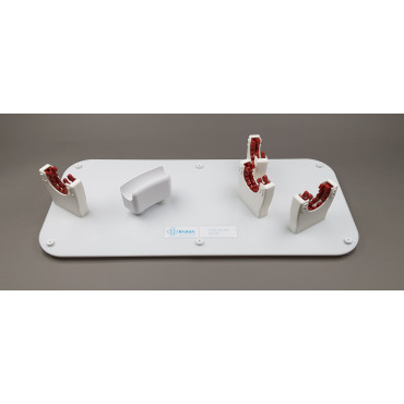 copy of Endo Dog - Canine Gastroscopy Trainer (END004)