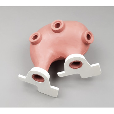 copy of Endo Dog - Canine Gastroscopy Trainer (END004)