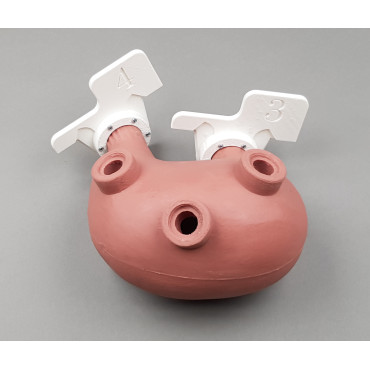 copy of Endo Dog - Canine Gastroscopy Trainer (END004)