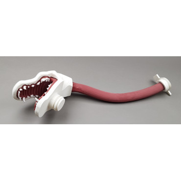 Trenażer gastroskopowy psa
Fantom medyczny
Górny odcinek przewodu pokarmowego żołądek