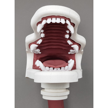 copy of Endo Dog - Canine Gastroscopy Trainer (END004)