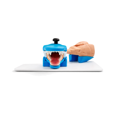 copy of Endo Dog - Canine Gastroscopy Trainer (END004)