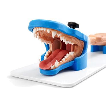 copy of Endo Dog - Canine Gastroscopy Trainer (END004)