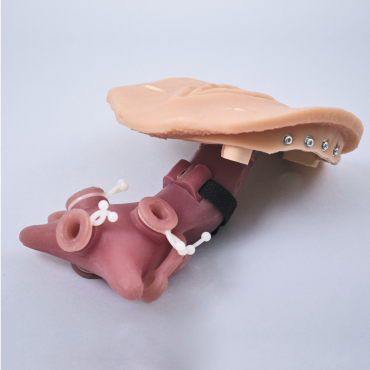 Gynecological Trainer (GIN001)